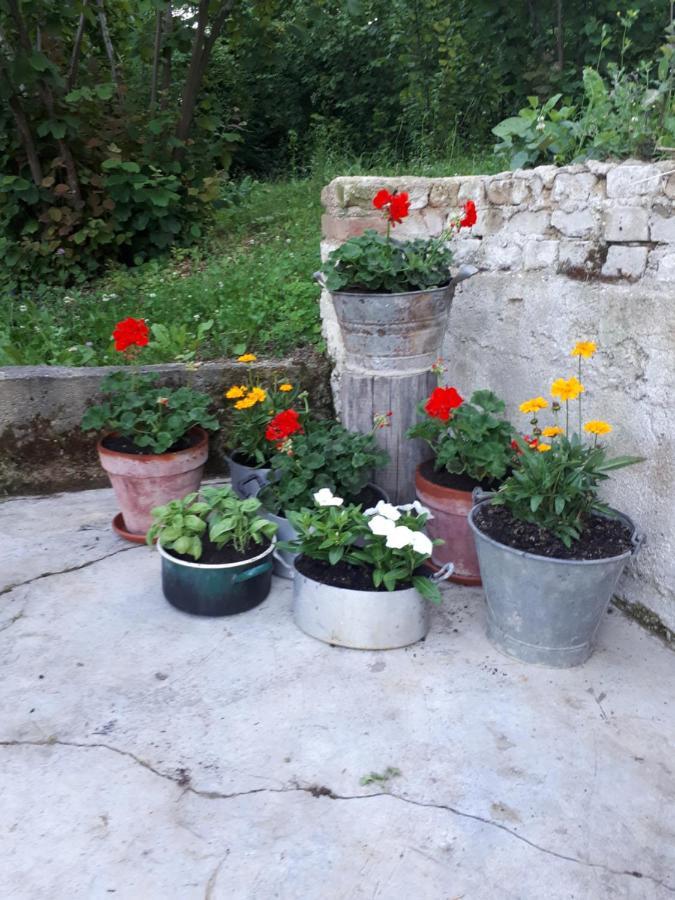 Bed and Breakfast Il Noccioletto Mombaruzzo Exteriér fotografie